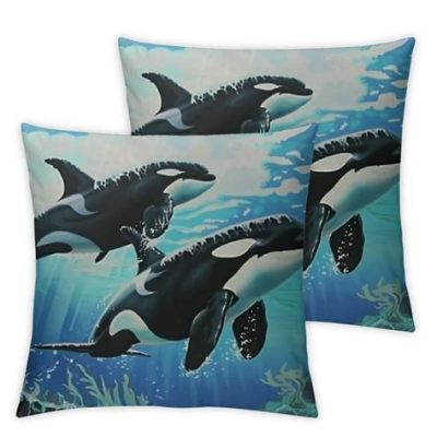  Devil’s Couch! A Colorful Cushion Hiding Underwater Treasures